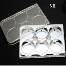 6홈판 6홀홈판 6홀 다용도홈판 Well Plate(웰플레이트)/배양판
