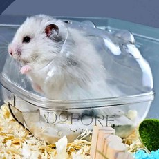 햄스터목욕통 햄스터목욕실, 소, 1개, one