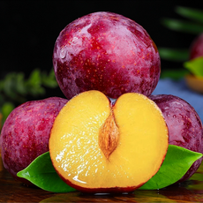 [하루40박스만] 지역1등 고당도달콤 도담왕자두 추희자두, 1박스, 2kg