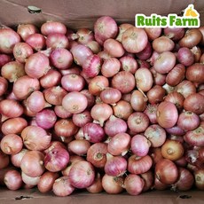 [루츠팜] 중국 샬롯 10kg 샬럿 험댕 미니양파 shallot 모충