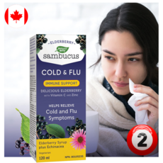 면역력 높이는 몸살 독감 감기 에키네시아 추춞 엘더베리 효능 액상 영양제 120ml 2병 캐나다, 2개