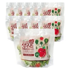 데이밀 자연을담은 샐러드 실속C 사과 방울토마토 국내산 채소샐러드 100g, 10개