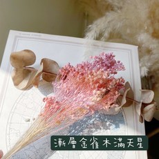 極度 乾燥花素材-進口金雀木滿天星(漸層粉紫) 乾燥花束花材 婚禮佈置卡片手作素材攝影道具 新娘捧花頭圈, 職業裝20g上下, 1個
