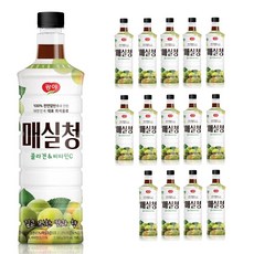 광야 늘감사 매실청 베이스 (970ml x 15개), 970ml, 15개