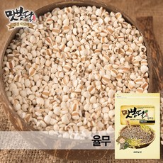 맛봉달 햇 25년산 국산율무 율무 율무쌀 국내산, 5개, 500g