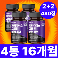유캔헬씨 파라다이스 그레인 버닝 추출물 그래인 플러스, 4개, 120정 4개, 120정