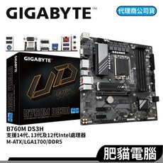 GIGABYTE 技嘉 B760M DS3H DDR5 主機板 1700腳位 M-ATX, 1個