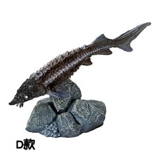 M.M小舖 BANDAI 轉蛋 扭蛋 生物大圖鑑 古代魚篇 P2 生物 圖鑑 古代魚 模型 全5款, 1個, D款/黑色魚4A202