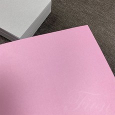 Fion 純色系列便條本 灰色/粉紅色 便條紙 5.7x8cm / 5x12cm - 100張/本, 粉紫色,5x12cm, 1個