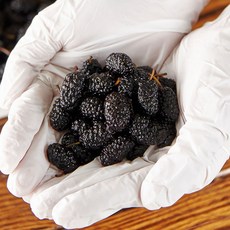 [산지직송] 국내산 햇 청일품종 오디(급냉), 10kg(특품), 1개