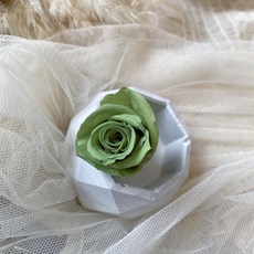 大地農園 永生花/永生玫瑰花材：花球材料、花衷素材、畢業花束素材，多種選擇, H-啞霧綠