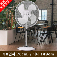 대웅 공업용 업소용 대형 선풍기 76cm(30인치), DW-IDF2530