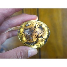 §能量礦石§ 印尼隕石河川滾石拋光 Agni Manitite 火山玻璃 113克 俗稱印尼天狼星 烈火石 黑隕石 黑曜, 1個