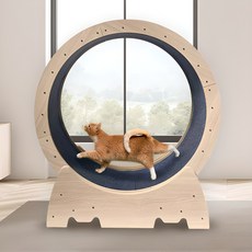 Pet shop 低噪音安全鎖定裝置 簡易安裝 Wodada 貓咪跑步機, 1個, 混合顏色