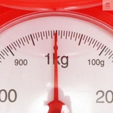 온지니엘 주방저울 1kg 가정용저울