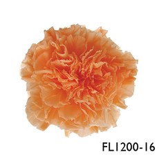 花藝夢 日本Florever FL1200系列 中輪康乃馨 不凋永生花 原裝盒 母親節必備, 1200-16