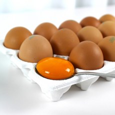 난각번호1번 유정란 특란 자연방사 방목 계란 무항생제 동물복지 HACCP인증 유기농 달걀, 1개, 10구