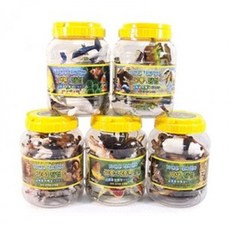 자연은살아있다 중 1P 야생 공룡 곤충 가축 장난감 hay+402lg