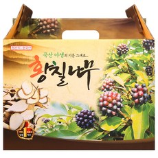 해피스토어70 황칠나무즙 진액 엑기스 100ml X 60포 국내산, 60개