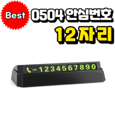 유니샵 12자리 주차번호판 안심번호 야광 2025년 고급형, 1개, 블랙