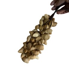 夾竹桃果殼串鈴(短) Natural Sounds, 夾竹桃串鈴(98粒)-皮把手, 1個