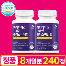 버들랩 파라다이스 그레인 플러스 버닝업, 2개, 120정