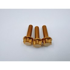 【TiONLY】鈦鴻利 正鈦螺絲 M8*30 特外六角, 金色, 1個