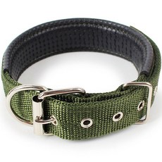 본사직판 스폰지 나일론 새끼 아기 강아지목줄 리트리버 대형견 목줄, 카키, 1개