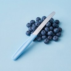 일본 니켄 블루 과도 톱니 과일칼 빵칼, 1개