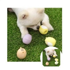 에그애니멀 라텍스 색상임의 강아지장난감 대형견장난감