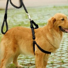 삼군몰 대형견 목줄+하네스+리드줄 세트 XS 블랙