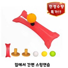 골프 스윙 연습기 미니 티매트 세트 실내 실외 어프로치 연습용 초보자 훈련기 RIWONWEN