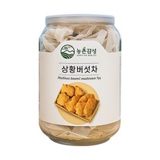 농촌감성 상황버섯차 국산 건강차 티백차, 1개, 20개입, 1g