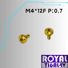 ROYAL 鈦合金 M4*12F 飛碟頭螺絲 土豪金, 1個