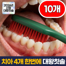 필모어 6세대 한번에 이빨 닦는 대왕 헤드 미세모 칫솔 세트, 1개, 10개입