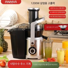 가정용 전자동 과일착즙기 생강즙 당근착즙기 녹즙기 다기능 원액기, B_1200W 원터치 칼망추가, 단일 모델