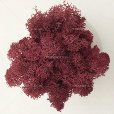 인공 녹색 식물 영원한 생명 DIY 잔디 홈 룸 미니 가짜 50g, 15)10g, wine red