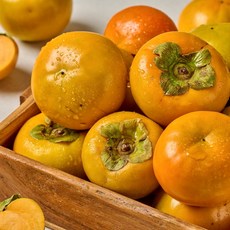 효성팜 경남 부유 단감 5kg 1박스 아삭한 제철 단감, 5kg (36-40과)