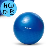 필라테스 피트니스 스트레칭 수업용 돌기 짐볼 소형