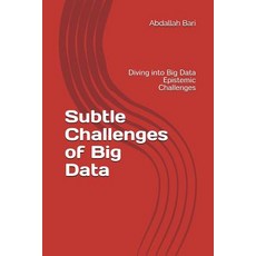 (영문도서)Subtle Challenges of Big Data: Diving into Big Data Epistemic Challenges Paperback, Independently Published, English, 9781521580929