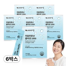 비타민마을 히알루론산 콜라겐 1000, 6개, 30g