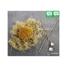 황금팽이 버섯, 1개