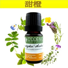 O'DDENIO 歐丹尼 甜橙純精油, 1個, 甜橙10ml