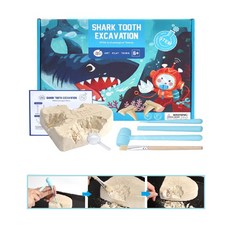 5세 남아 상어이빨 조개화석 발굴세트 탐구놀이 발굴키트 집중력 과학완구, 1개