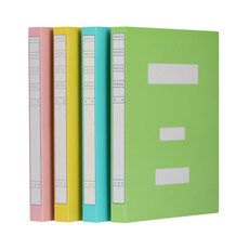 프로비즈 대용량 정부화일 A4 10개입, 연두