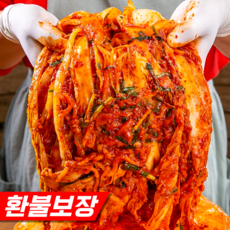 [환불보장] 오형제농원 자꾸땡기는 매운맛 실비김치, 1박스, 2kg