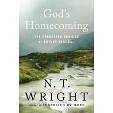 (영문도서)God's Homecoming: The Forgotten Promise of Future Renewal Hardcover, HarperOne, English, 9780062564177