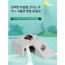 거북이 수조 일광욕대 세트 쉼터 여과기 포함 거북이 집 꾸미기 대형 어항 사육장, 대형 낚시망, 1개, 1W