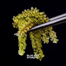 바다포도 개별포장 우미부도 그린캐비어 씨그레이프 바다해초, 1개, 20g