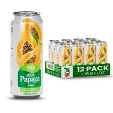 VINUT 100% Papaya Juice No Added Sugar Not From Concentrate 16.9 fl oz (500 mL) Can Pack of 12, 1개, 499ml